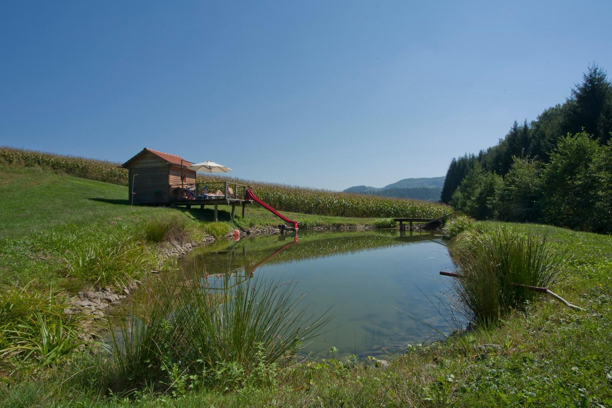 Weingut Winzerhof Gaestezimmer Grebenz Grossklein Luaran gambar